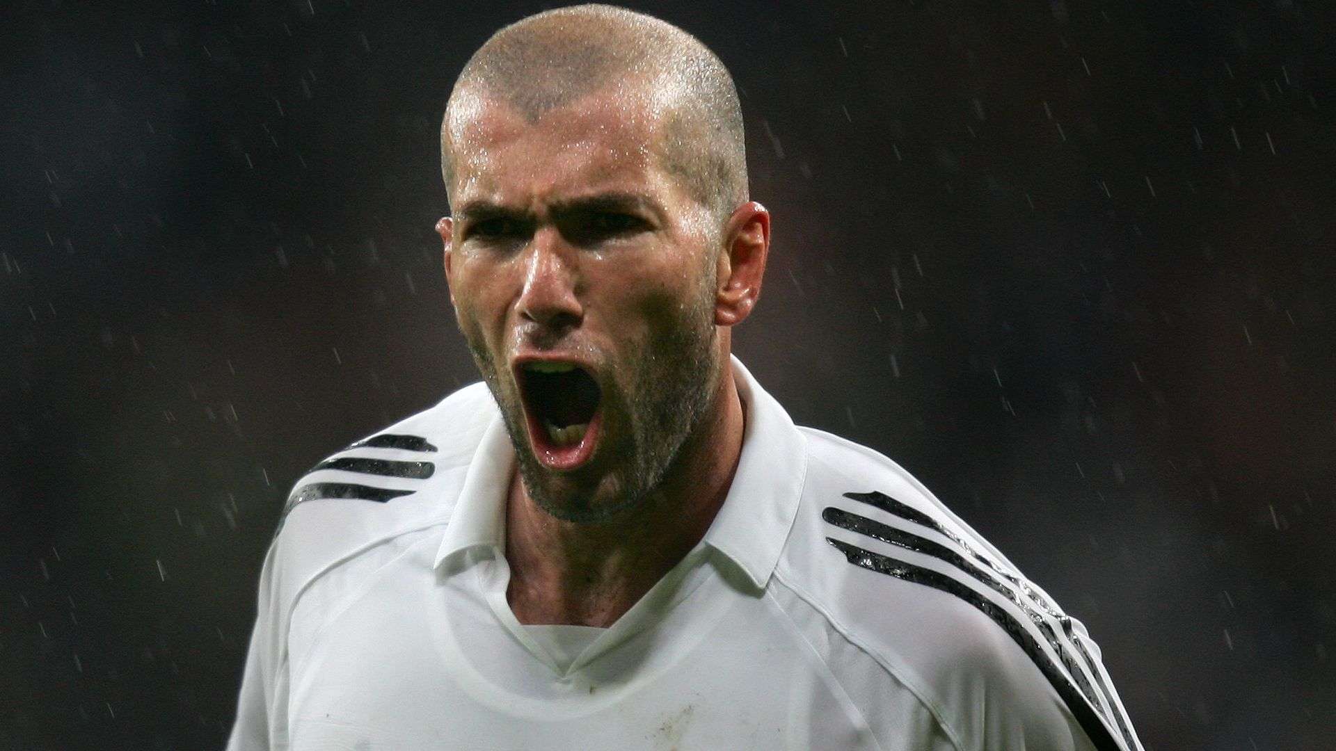 为了弥补这 为了弥补这