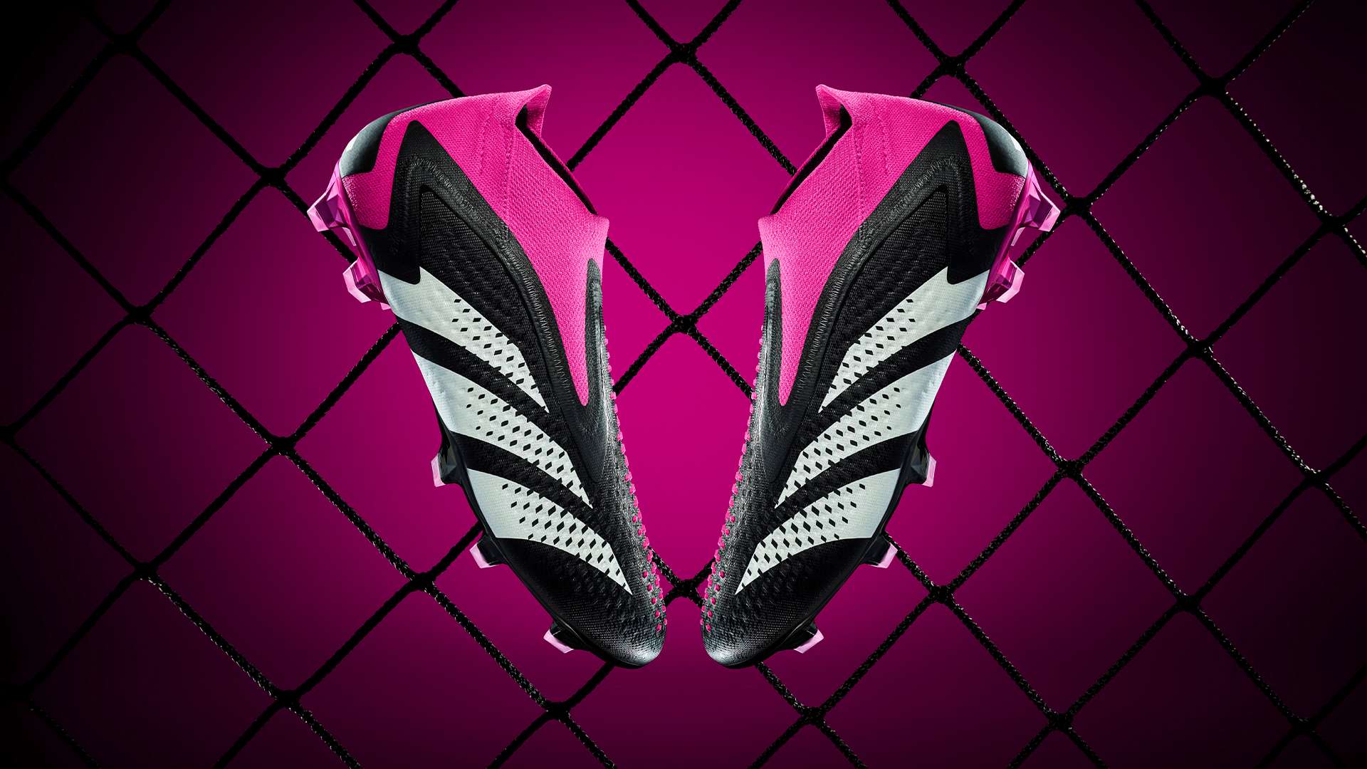 事务分析家 事务分析家